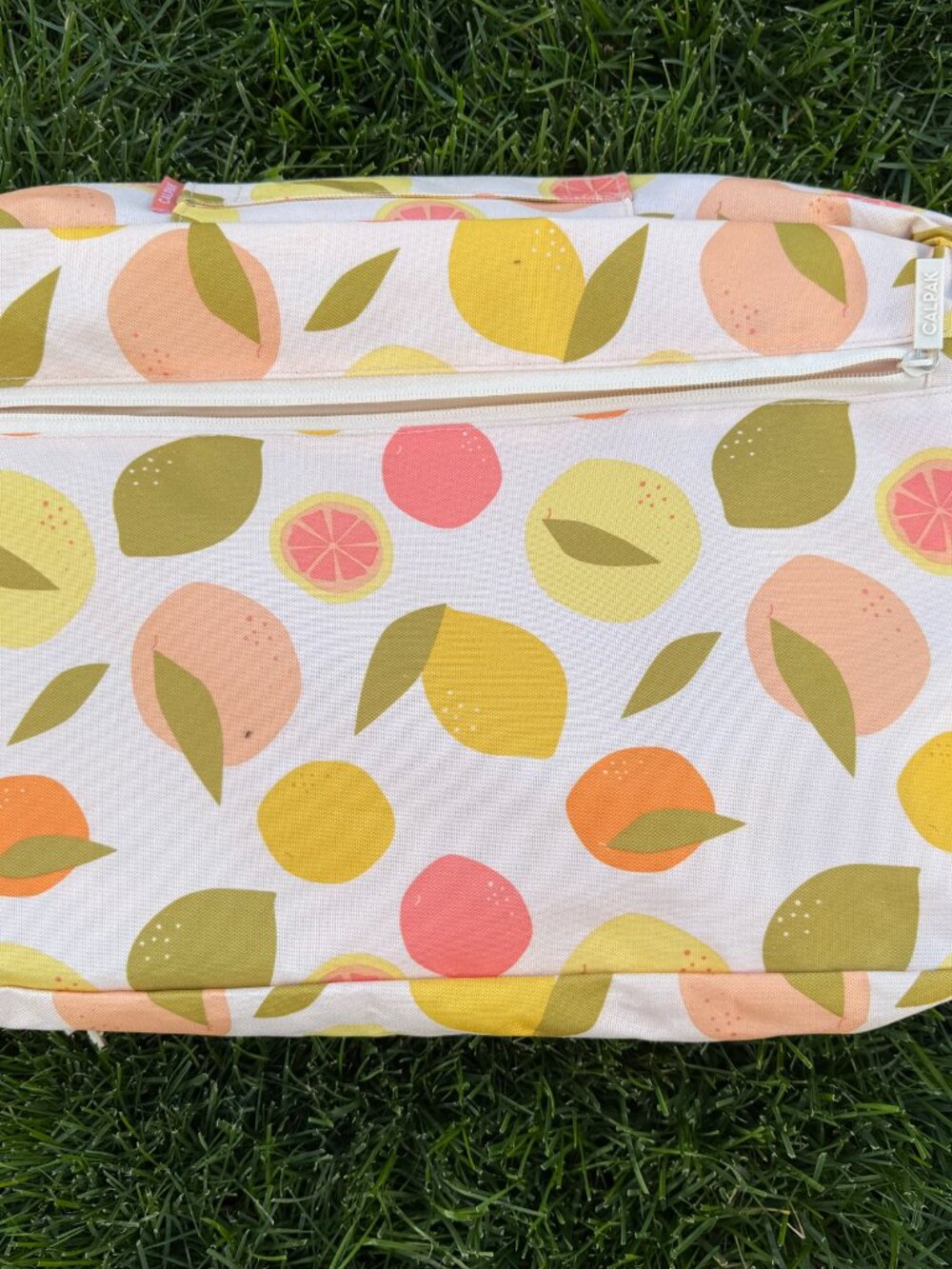 NEW! CALPAK Packing Cube Set - Picture 2 of 5